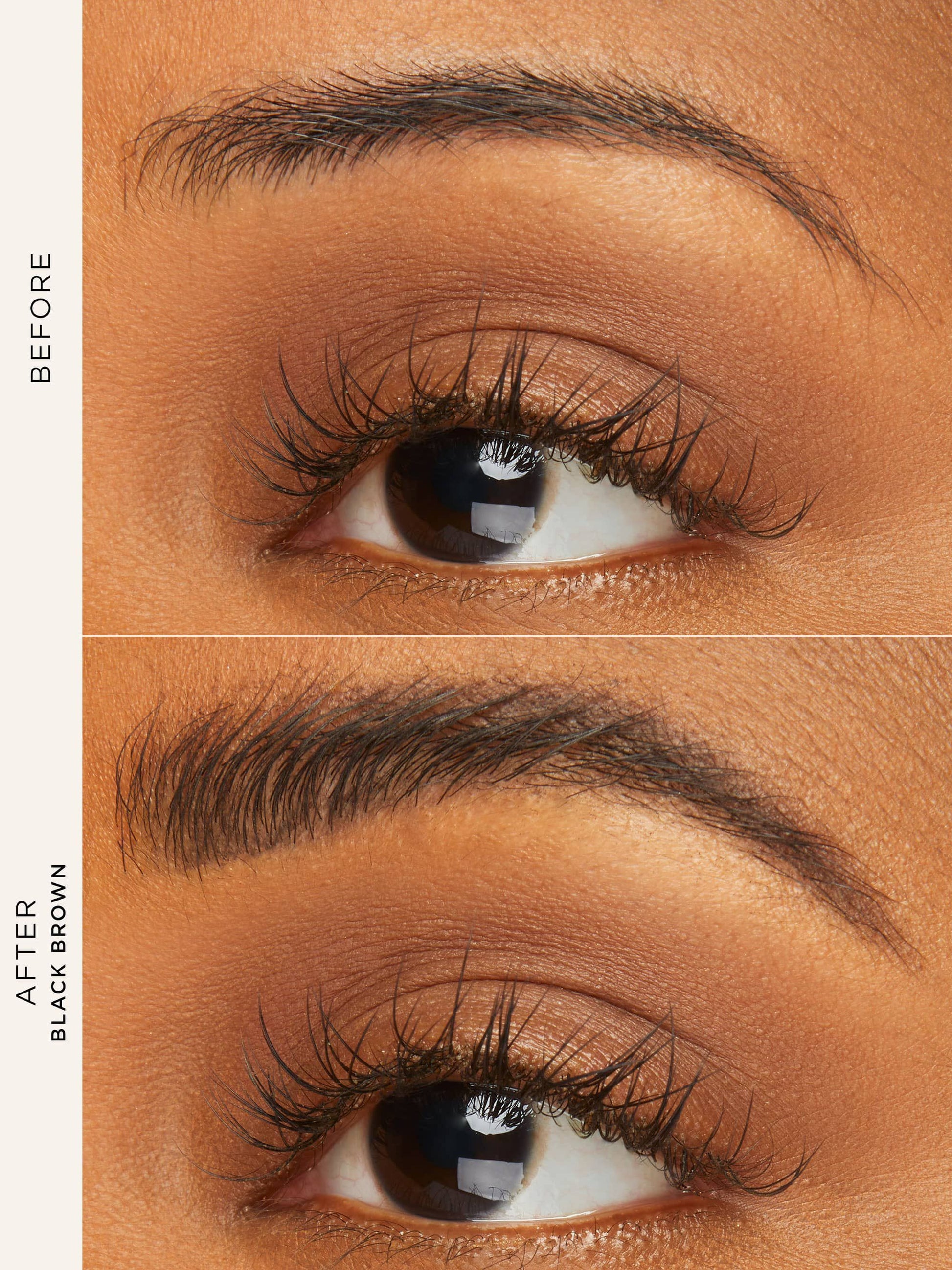 24hr tinted brow gel