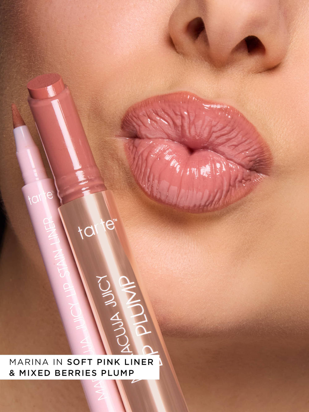 stain & plump lip and liner duo