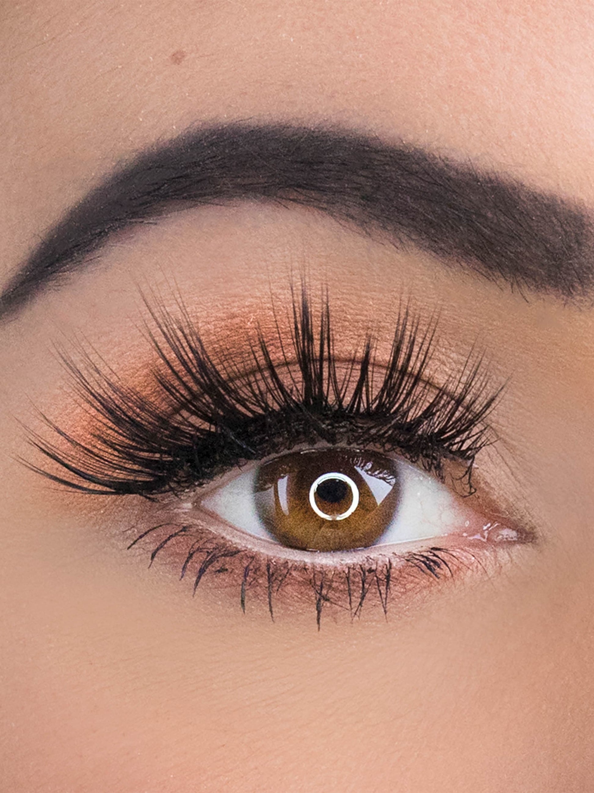 lights, camera, lashes™ cruelty-free lashes